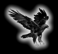 Eagle's Jump Band
